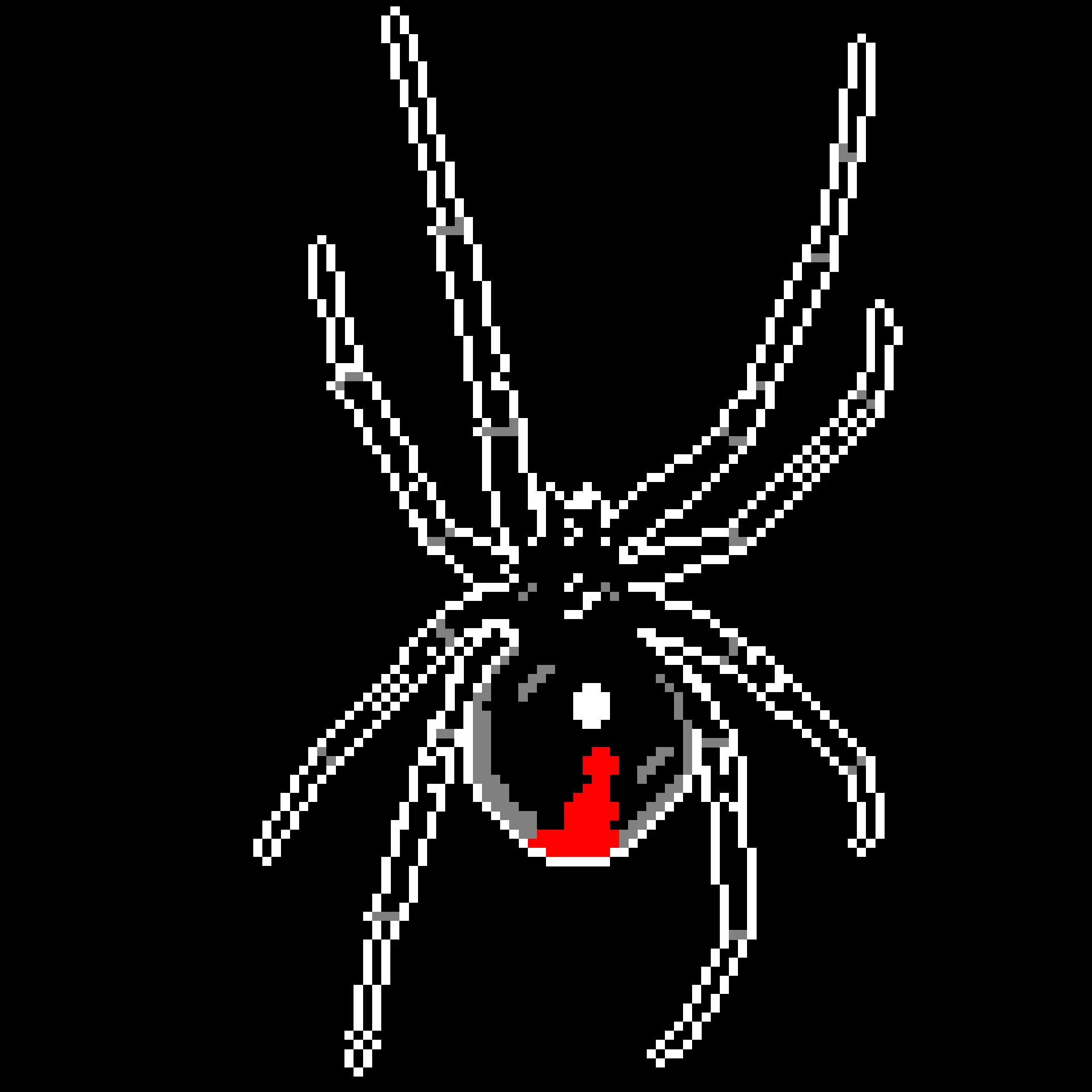 Latrodectus by Madison Lee