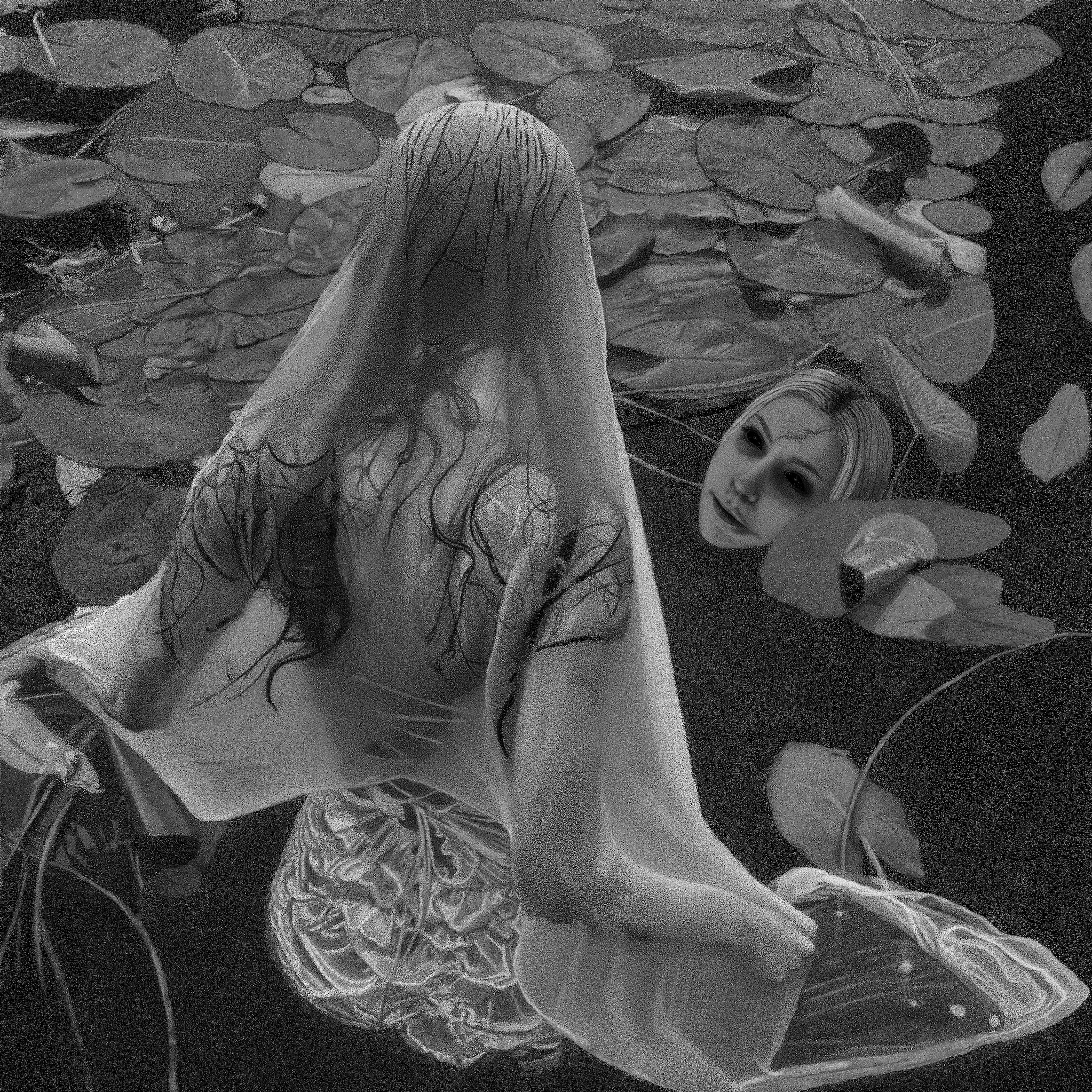 Narcissus by Madison Lee